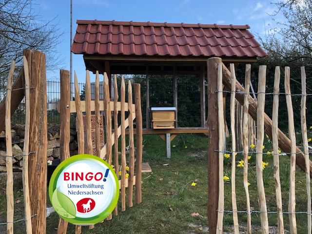 Bingo-Umweltstiftung fördert unsere Schulimkerei!